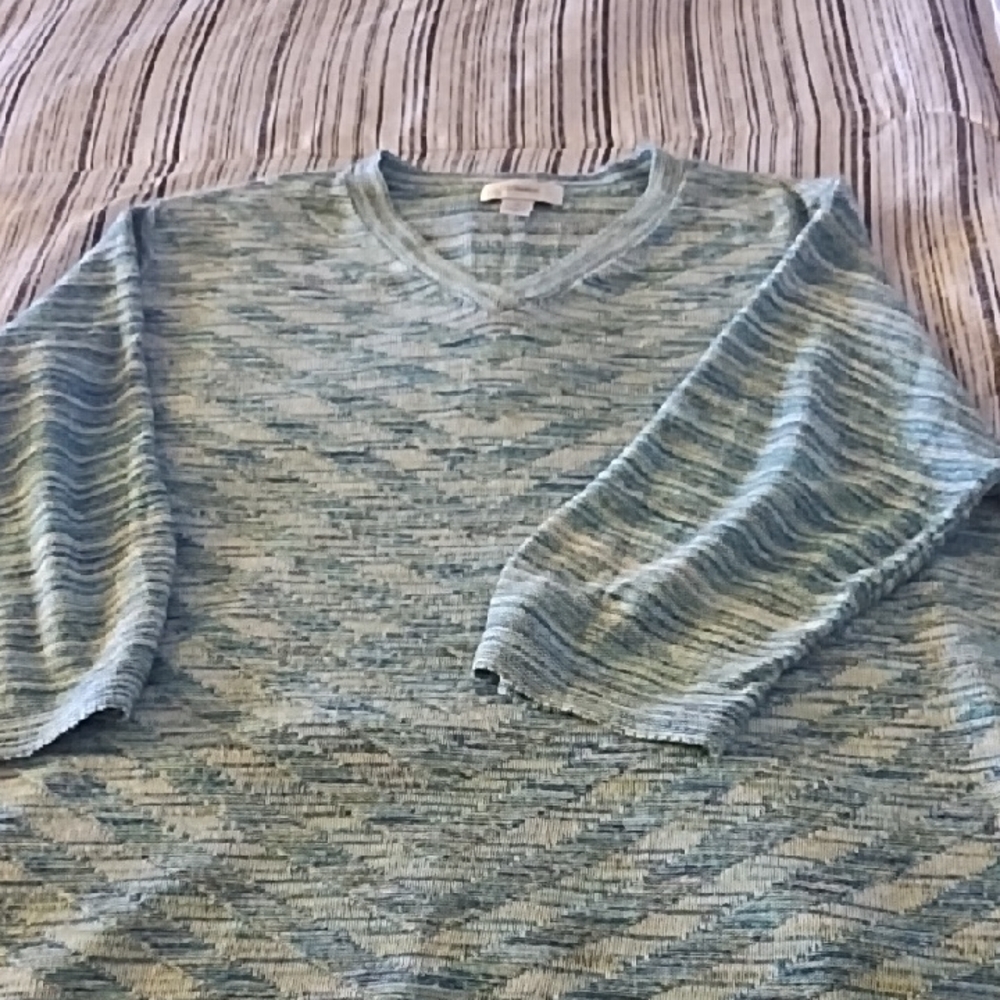 CJ Banks V-Neck Sweater in Blue and Green